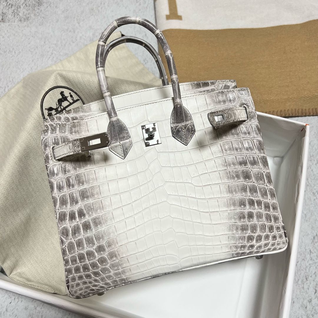 에르메스 버킨백25 히말라야 은장